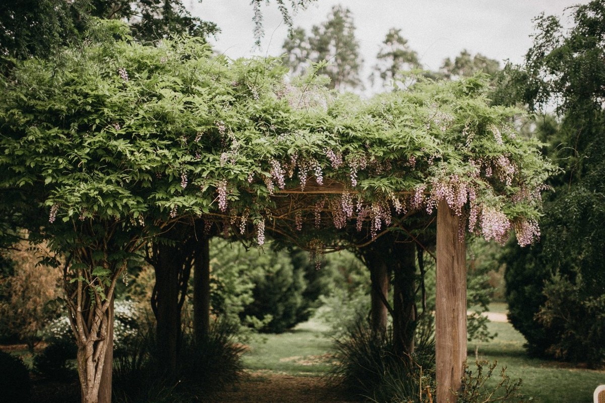 A garden arbor is decorated with flowers and greenery. Photograph by documentary wedding photographer Joshua Mikhaiel.