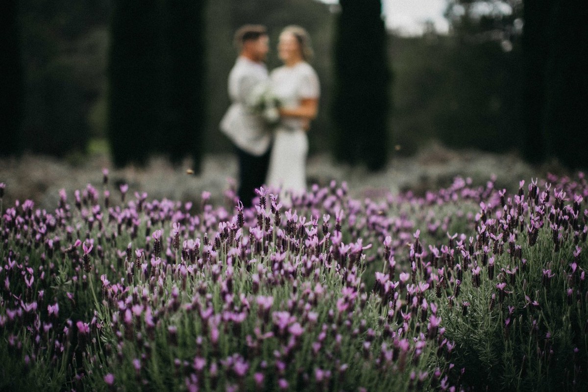 The bride and groom stand together among purple flowers in the garden. Photograph by documentary wedding photographer Joshua Mikhaiel.