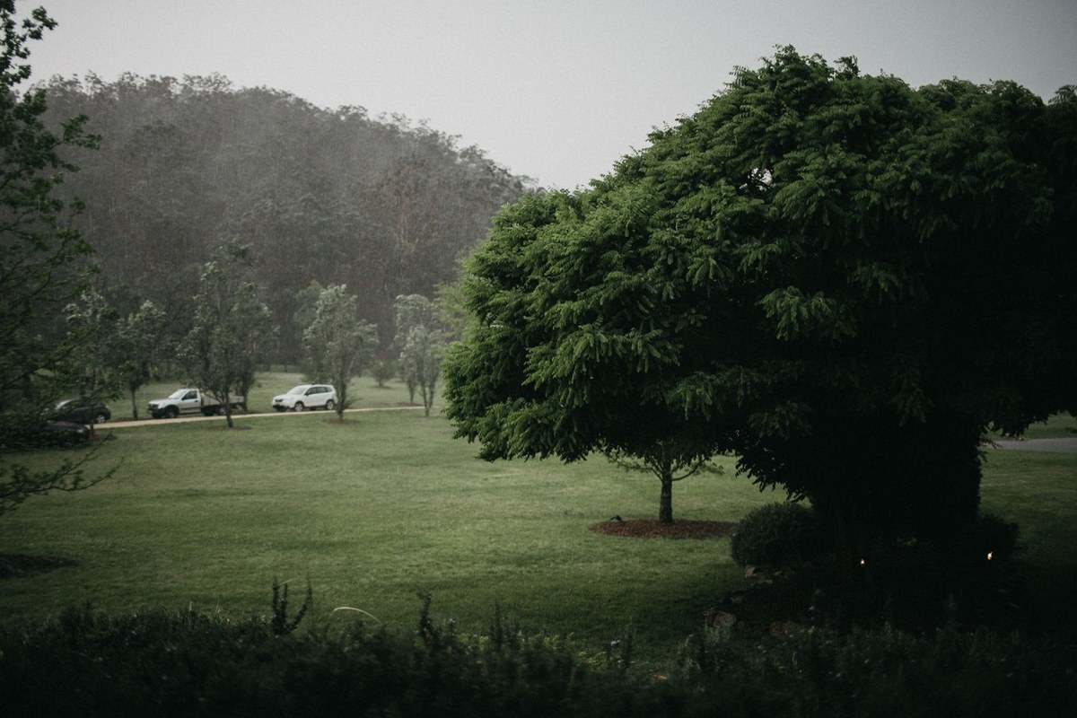 A wide view of the misty lawn and trees after rain. Photograph by documentary wedding photographer Joshua Mikhaiel.