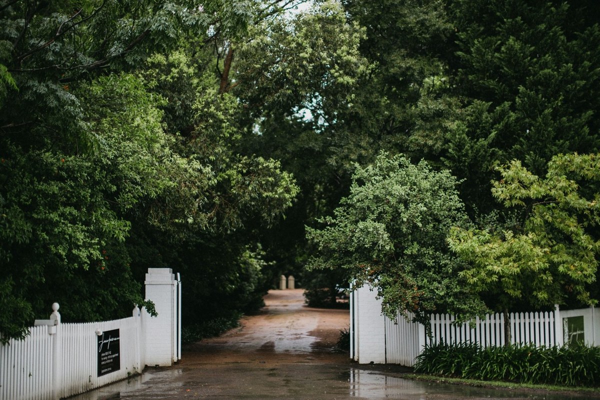 A white garden gate opens onto a tree-lined path. Photograph by documentary wedding photographer Joshua Mikhaiel.