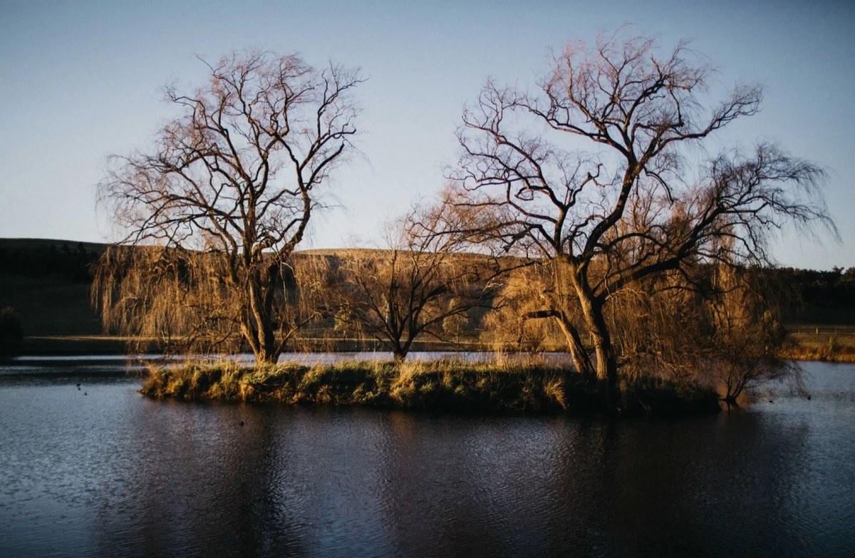 Leafless trees stand beside a still river in an autumn landscape, photographed by documentary wedding photographer Joshua Mikhaiel.