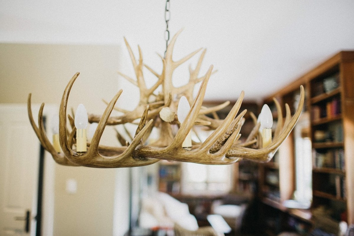 An antler chandelier hangs above the cottage sitting room. Photograph by documentary wedding photographer Joshua Mikhaiel.