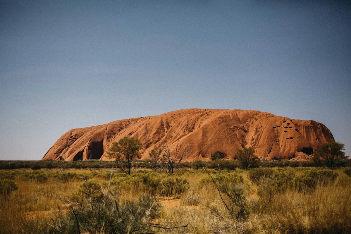 Uluru rises above the golden grassland beneath a clear sky, photographed by documentary wedding photographer Joshua Mikhaiel.