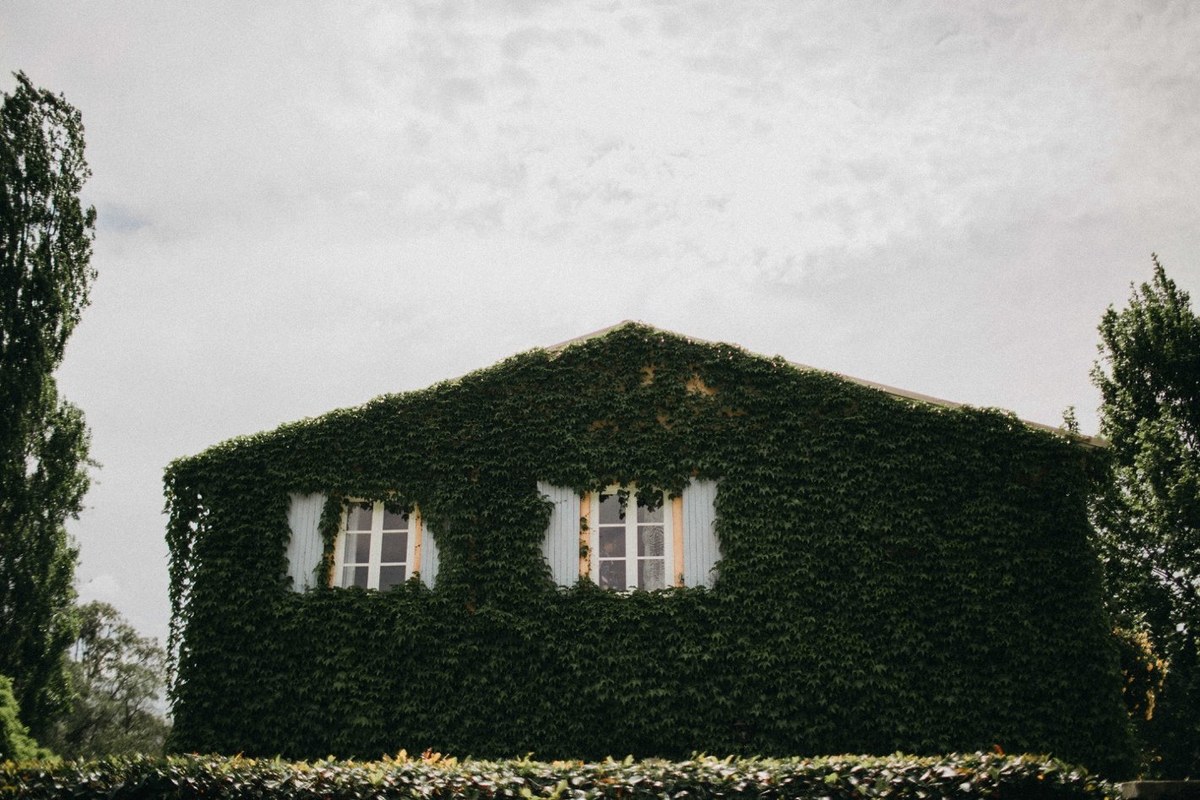 An ivy-covered homestead wall rises above the garden. Photograph by documentary wedding photographer Joshua Mikhaiel.